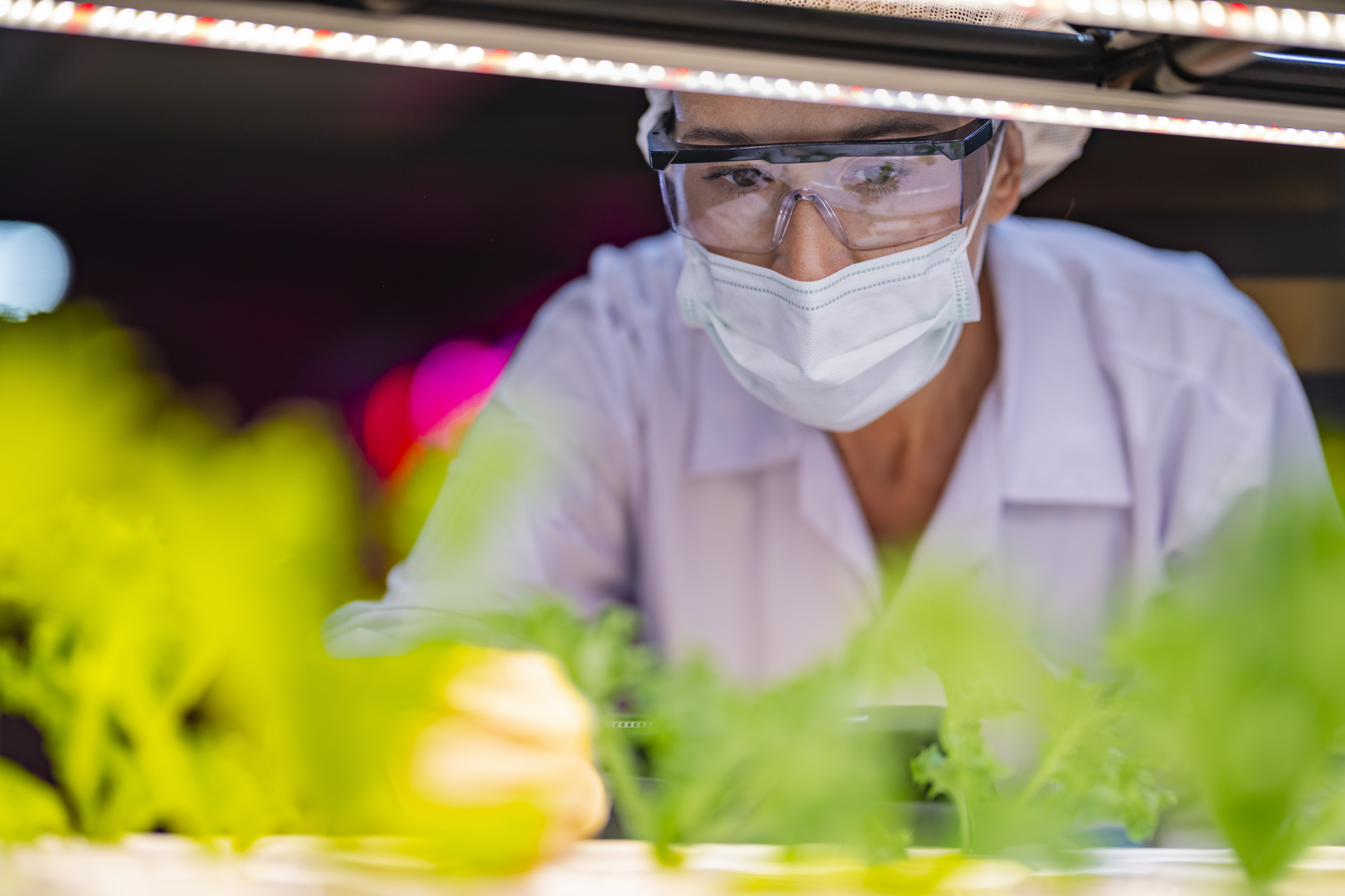 Topraksız Tarım Seralarında Otomasyon Sistemleri: Kontrol, Verim ve Enerji Tasarrufu