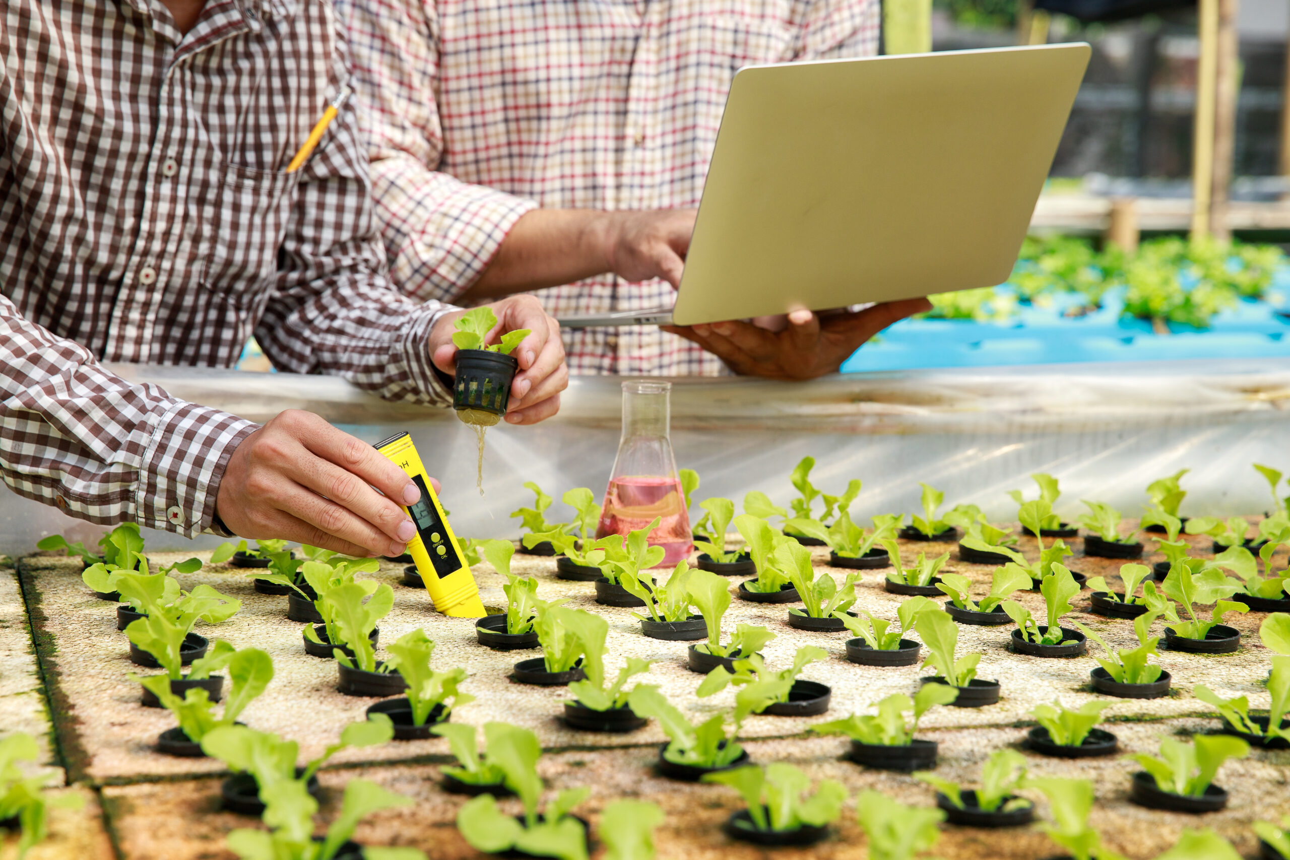 Topraksız Tarımda pH ve EC Değerleri Neden Kritik? Ölçüm, Takip ve Dengeleme