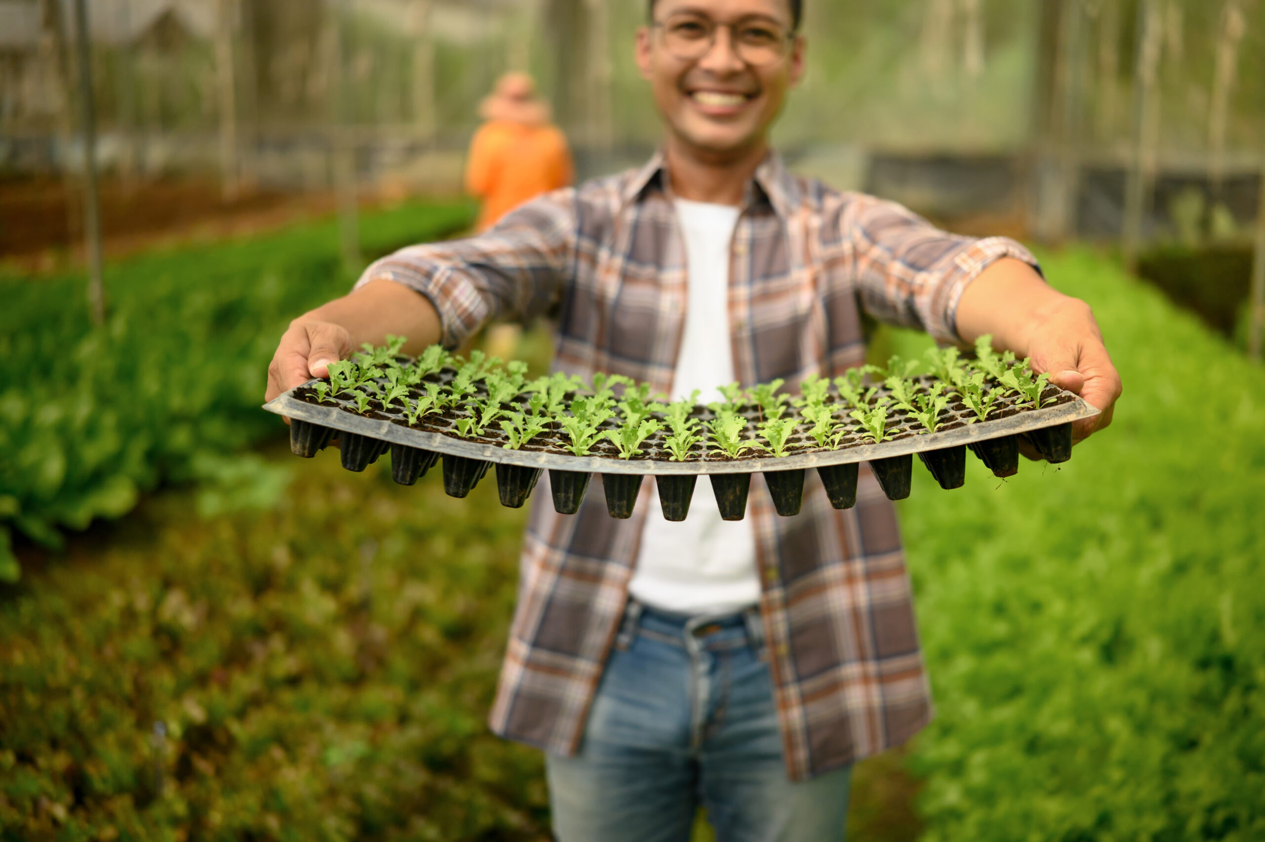 Topraksız Tarımda Hastalık Riski ve Korunma Yöntemleri: Topraksız da Olsa Tehdit Var mı?